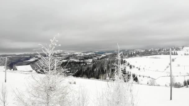 ルーマニアの空の視点から雪景色を明らかにする — ストック動画