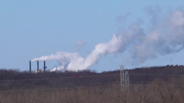 Огромные Промышленные Дымоходы Выходящие Густого Леса Выпускают Белый Дым Атмосферу — стоковое видео