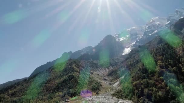 Gaumukh Tapovan Uno Dei Sentieri Escursionistici Più Antichi Dell India — Video Stock