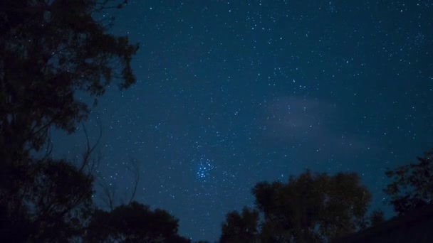 Güney Yarımküre Nin Zaman Çizelgesi Gece Gökyüzü Queensland Avustralya Çekildi — Stok video