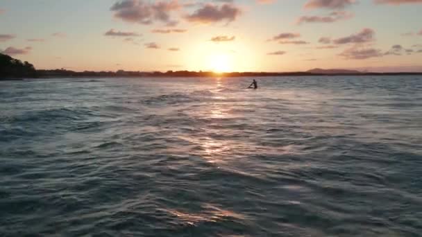 Imagens Drone Paddleboarder Subindo Volta Para Sua Placa Remando Nas — Vídeo de Stock