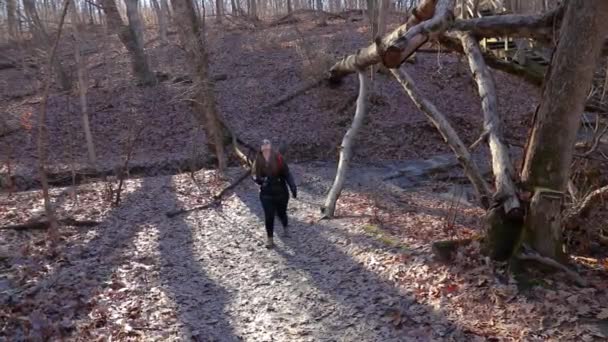 Una Fotógrafa Está Explorando Sendero Forestal Ella Lleva Dslr Atado — Vídeos de Stock