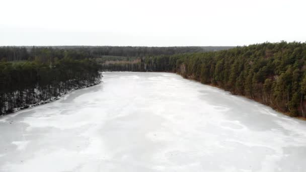 Letecký Pohled Ledové Jezero Uprostřed Lesa — Stock video