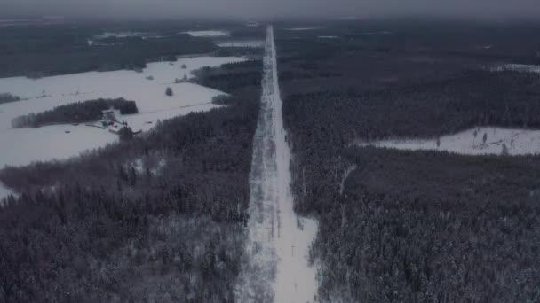 Flygfoto Kraftledningsväg Snöig Kall Djup Skog — Stockvideo