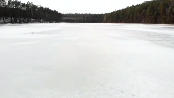 Földi Légy Jeges Felett — Stock videók