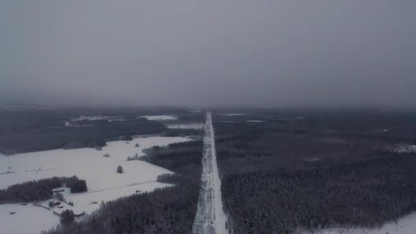 Légi Kilátás Elektromos Vezeték Havas Hideg Mély Erdőben Mozgás Vezetően — Stock videók
