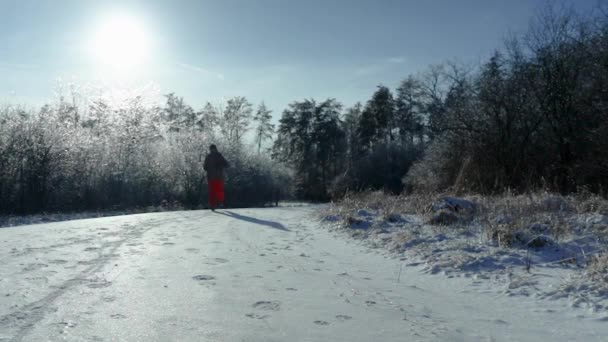 Mężczyzna Biega Śnieżnej Pokrytej Lodem Leśnej Ścieżce Podczas Pięknego Słonecznego — Wideo stockowe