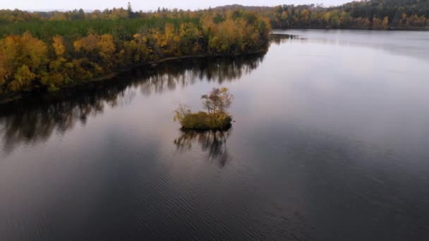 Vista Aérea Pequena Ilha Lago Floresta Colorida Outono Fundo Controlo — Vídeo de Stock