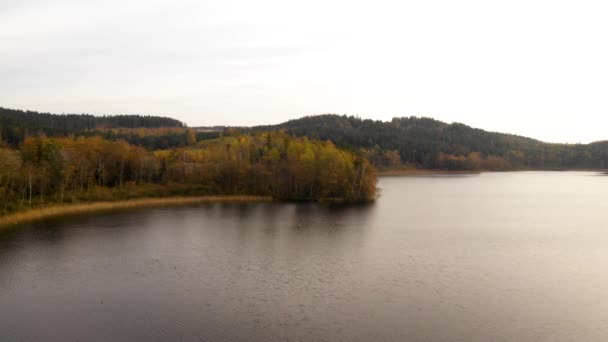 Veduta Aerea Della Foresta Colorata Autunnale Volare Sul Lago Verso — Video Stock