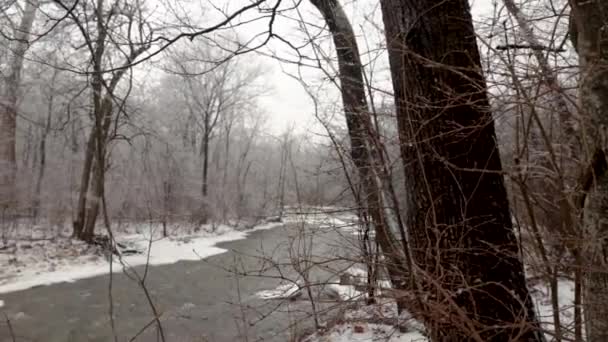 Une Partie Horizontale Une Rivière Traversant Une Forêt Enneigée Dans — Video