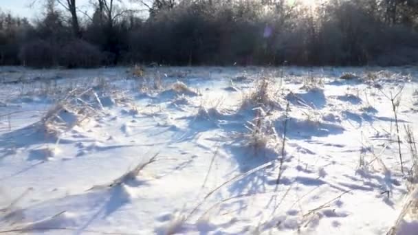 Vlna Jako Pohyb Naznačující Nerovné Základy Zasněžené Louky Přírodě Tráva — Stock video