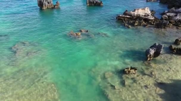 청록색 바위들을 공중에서 수있다 수평선을 드러내다 — 비디오