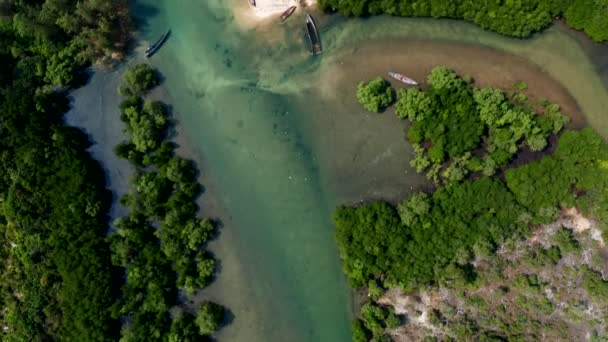 Drone Vertical Descendant Survolant Une Rivière Mangrove Cambodia — Video