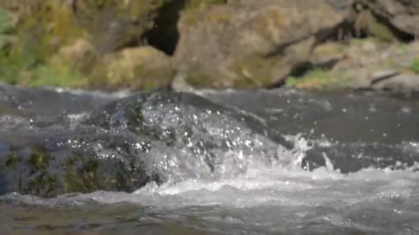 スローモーションで野生のアイスランド川の小さな滝 — ストック動画