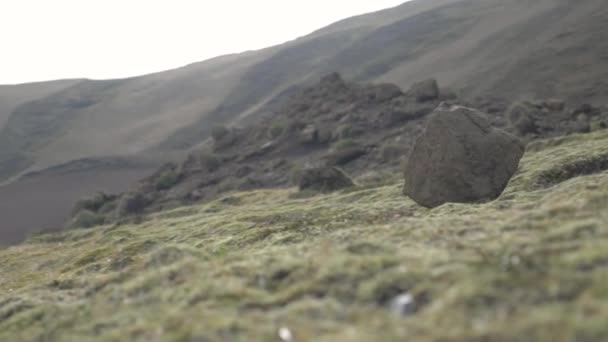 가파른 언덕을 천천히 내려가는 — 비디오