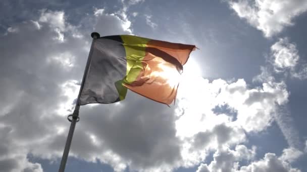 Belgische Flagge Flattert Zeitlupe Vor Blauem Und Sonnigem Himmel — Stockvideo