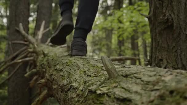 Yavaş Çekimde Ormanda Bir Kütüğü Dengeleyen Bir Insan — Stok video
