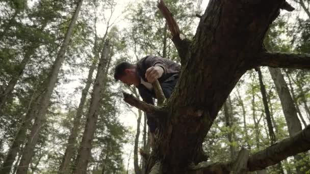 Caucásico Macho Saltando Árbol Caído Muerto Aterrizando Sus Pies Bosque — Vídeos de Stock