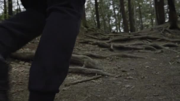 Movimento Lento Fechar Pés Correndo Sobre Raízes Floresta — Vídeo de Stock