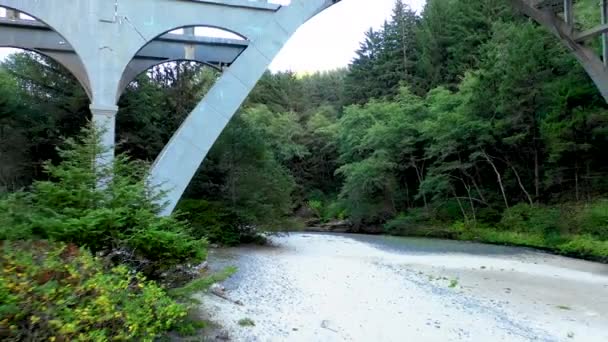 Revela Disparo Del Puente Cape Creek Autopista Oregon Rodeado Hermosos — Vídeos de Stock