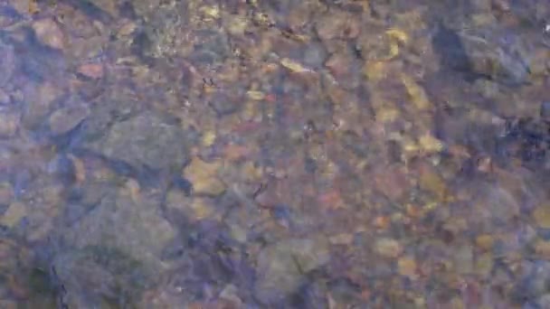 Ripples Reflections Surface Shallow Creek Flowing Small Colorful Rocks — Stock Video