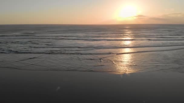 Flyger Sidled Över Ett Hav Nära Stranden Alltid Högre Visar — Stockvideo