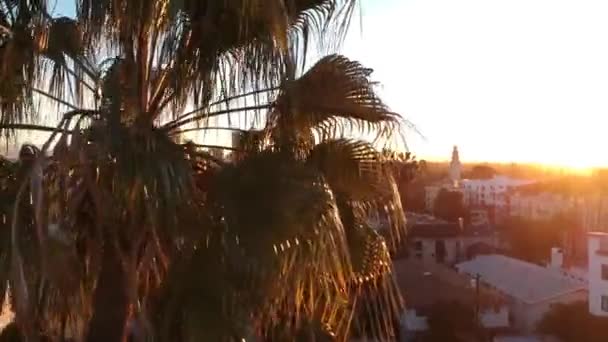 Palm Trees Reveal Beautiful Colorful Sunrise Downtown Los Angeles Horizon — Stock Video