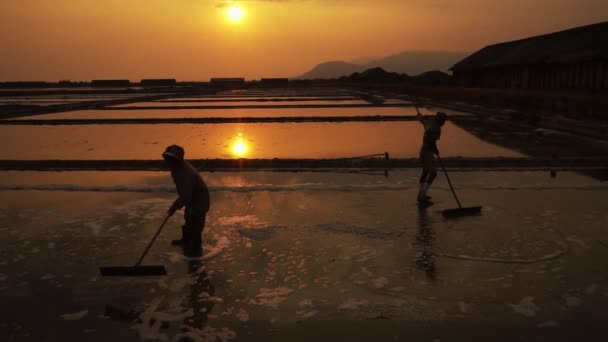 Ein Paar Arbeiter Harken Salz Erdhügel Für Die Ernte Vor — Stockvideo