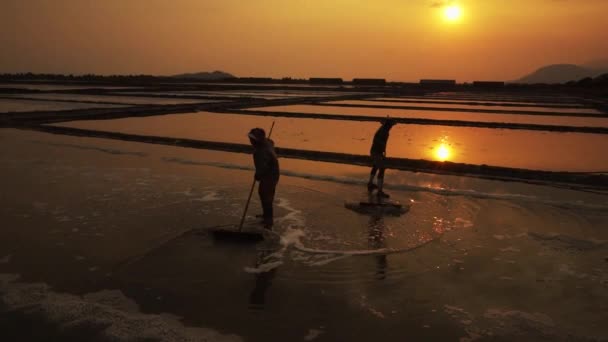 黄金の夕日に対してシルエット彼らのフィールドを準備伝統的な塩メーカー — ストック動画