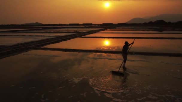 Travailleur Faisant Des Heures Supplémentaires Dans Lumière Dorée Soir Silhouette — Video