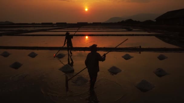 Silhueta Dois Trabalhadores Preparando Sal Para Colheita Final Tarde Sol — Vídeo de Stock