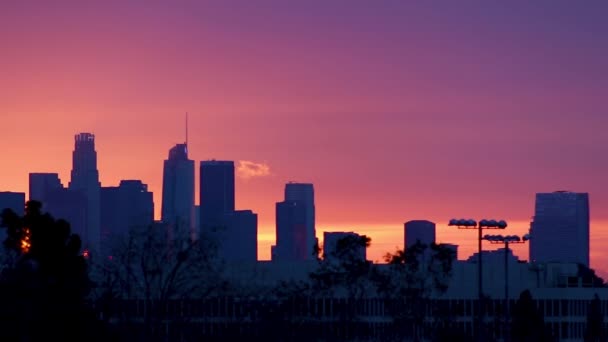 Colorido Crepúsculo Hora Cielo Detrás Edificios Del Centro Con Pájaro — Vídeo de stock