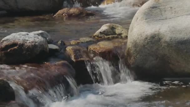 Close Água Pequena Corrente Alpina — Vídeo de Stock