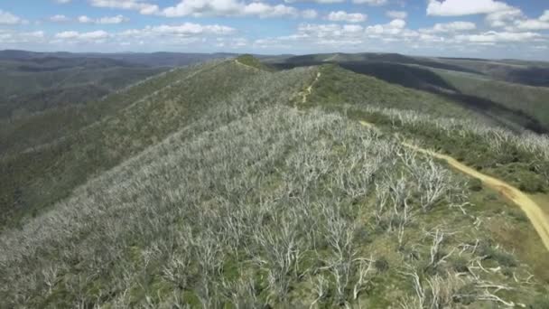 ビクトリア州の高地 オーストラリアの山の尾根線に続く劇的な空撮 — ストック動画