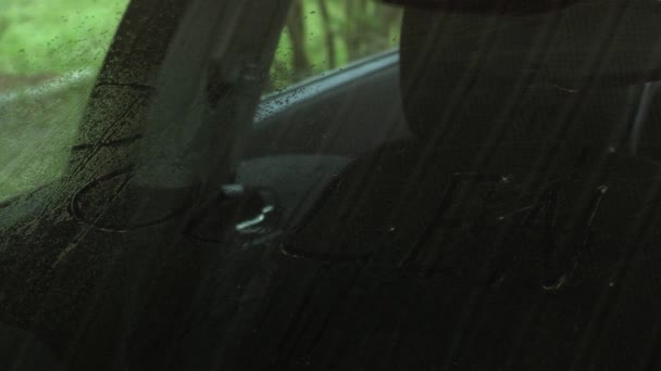 Das Wort Pollen Das Von Der Windschutzscheibe Eines Autos Weggewaschen — Stockvideo