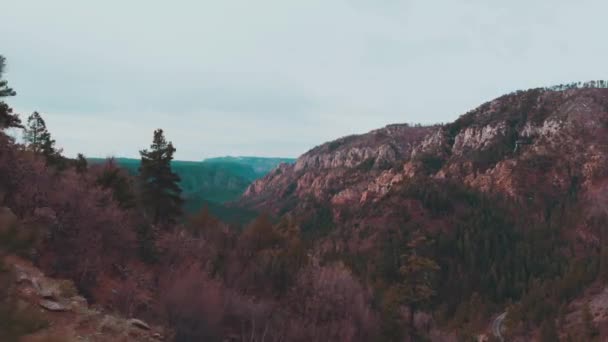 Letecké Odhalení Arizonského Údolí Coconino National Forest — Stock video