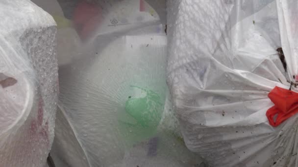 Plastikowe Butelki Domu Trzymać Śmieci Nie Jest Recykling — Wideo stockowe