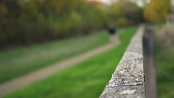 Blurred Man Walks Camera Focusing Wooden Fence — Stock Video