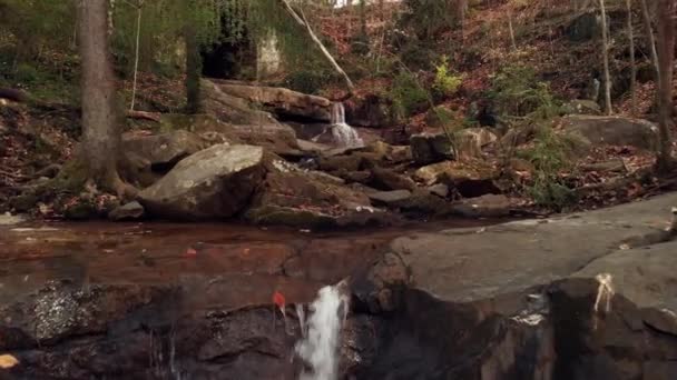 Rocky Creek Falls Leading Dark Overgrown Tunnel — Stock Video