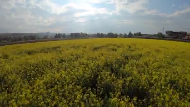 Fliegen Über Felder Der Schweiz Städtische Landschaftspflege — Stockvideo