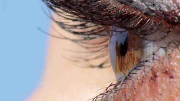 Femme Brun Globe Oculaire Gros Plan Macro Avec Reflets Brillance — Video