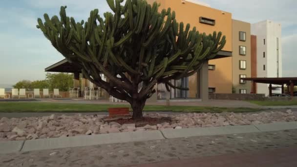 Gros Cactus Sur Country Club — Video