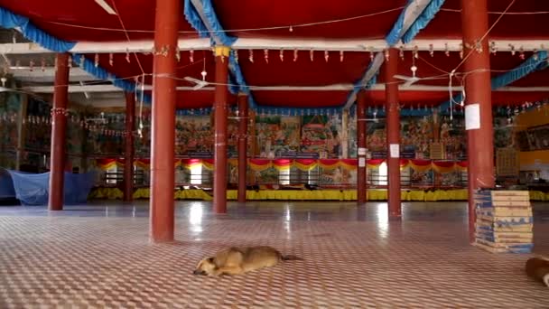 Внутренний Вид Буддийской Резиденции Собакой Спящей Камбодже — стоковое видео