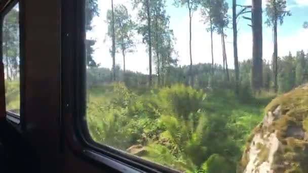 Ağaçların Önünden Geçen Eski Bir Turuncu Tren Tren Vagonunun Camından — Stok video