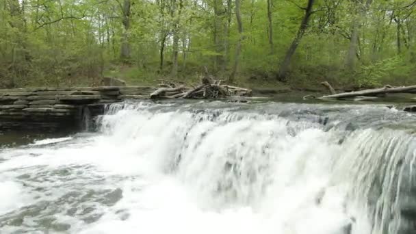 Кутовий Вперед Рухається Вперед Невеликого Лісового Водоспаду Витяжною Греблею Річці — стокове відео