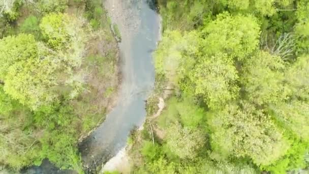 Kalın Ağaçların Arasından Akan Kıvrımlı Bir Nehrin Kuş Bakışı Görüntüsü — Stok video