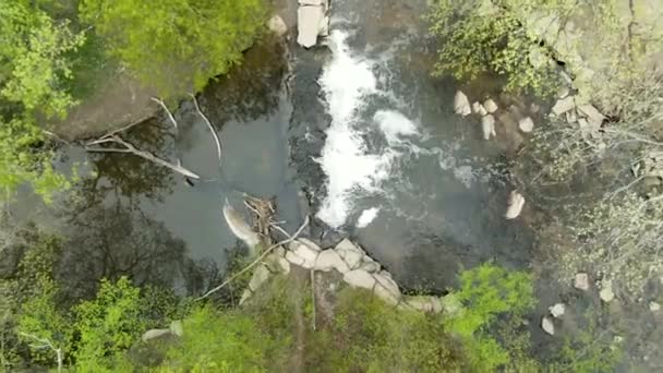 Hızlı Bir Kuş Bakışı Küçük Bir Orman Nehri Şelalesine Doğru — Stok video