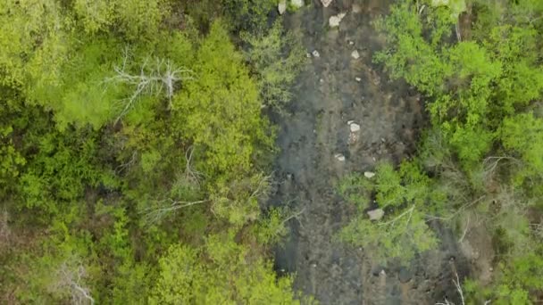 鸟瞰森林小河瀑布 周围环绕着树木和绿叶 这是一个阳光灿烂的夏日下午 瀑布旁边有一个野餐区 — 图库视频影像