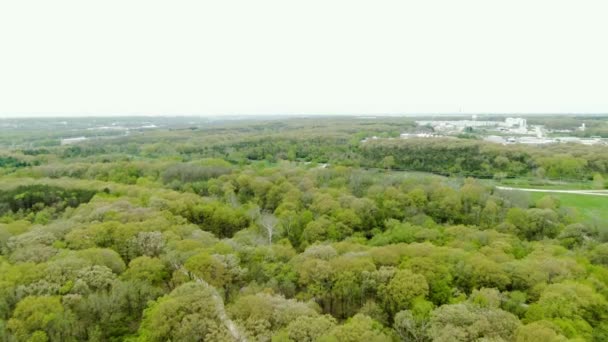 Banliyö Bölgesindeki Sık Bir Ormanın Üzerinden Çekilen Hava Görüntüleri Yakın — Stok video
