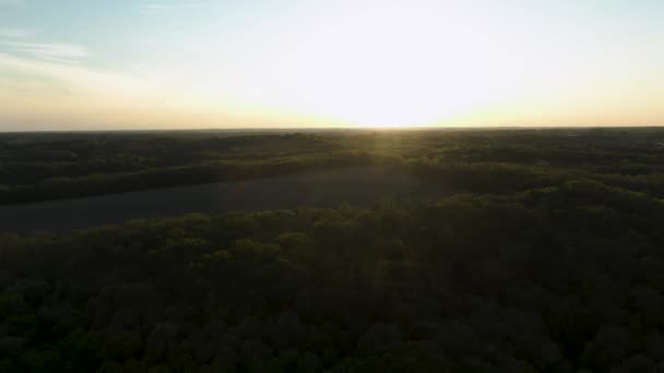 Aerial Shot Thick Forest Sunset Sun Pretty Low Giving Vibrant — Stock Video